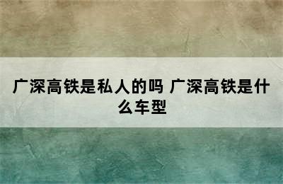 广深高铁是私人的吗 广深高铁是什么车型